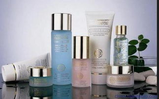 上海伯斯卡國際貨物運(yùn)輸代理公司 一站式進(jìn)口化妝品、食品與家具清關(guān)服務(wù)