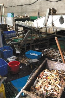 餐具消毒企業(yè)被查引關(guān)注，餐飲行業(yè)衛(wèi)生管理再敲警鐘